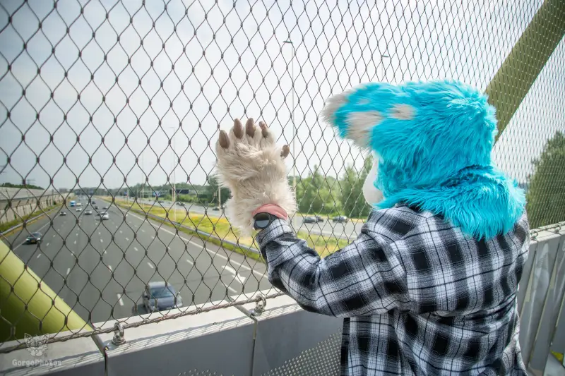miilkybridgephotoshoot-23-standard.webp