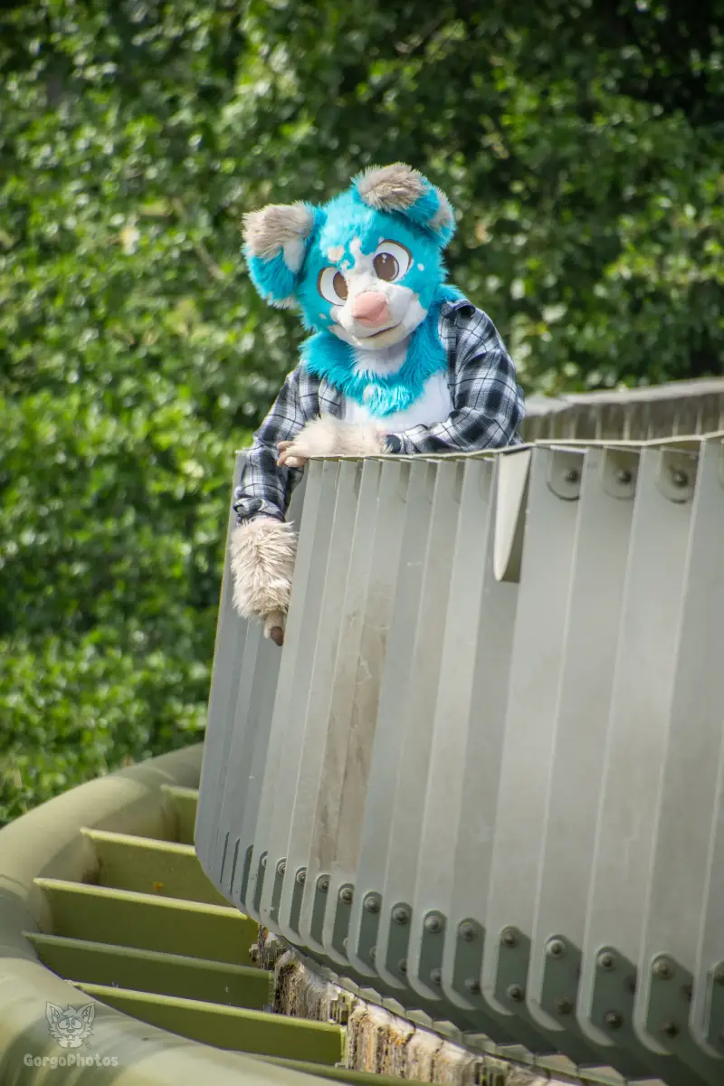 miilkybridgephotoshoot-34-standard.webp