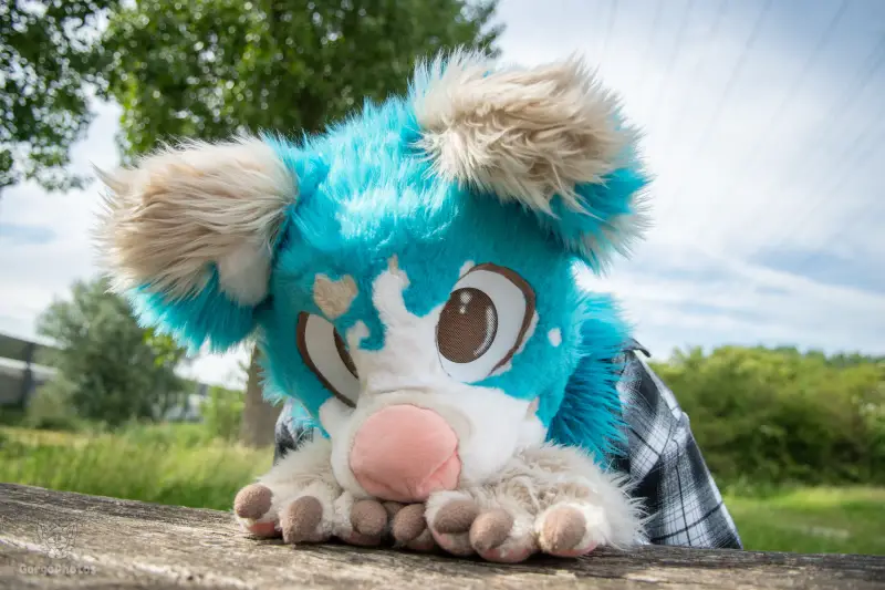 miilkybridgephotoshoot-59-standard.webp