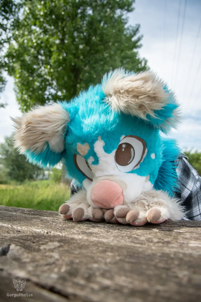 miilkybridgephotoshoot-60-standard.webp