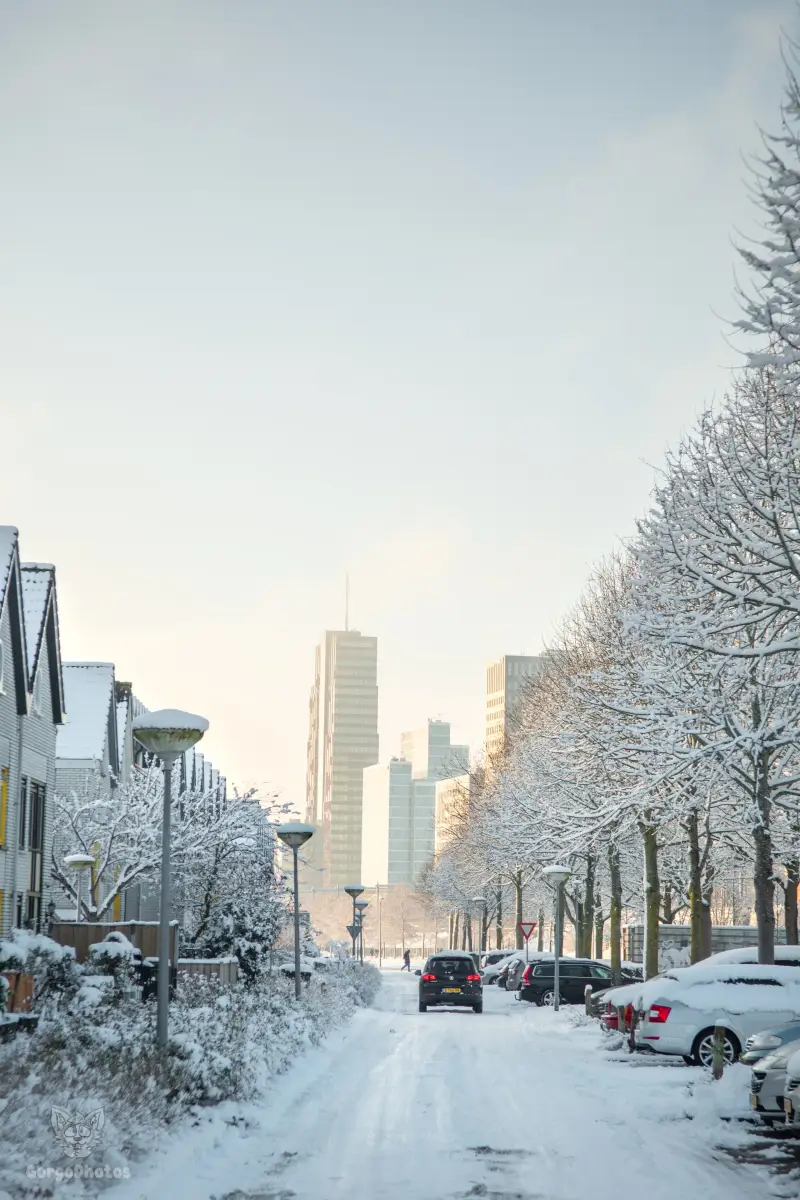 miilkysnowphotos-1-standard-h318v5.webp