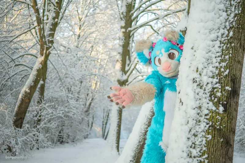 miilkysnowphotos-11-standard-9zz1gr.webp