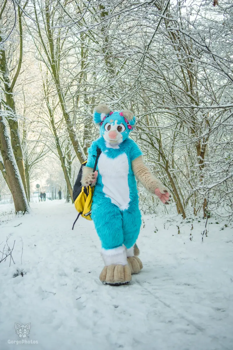 miilkysnowphotos-12-standard-8w1pmw.webp