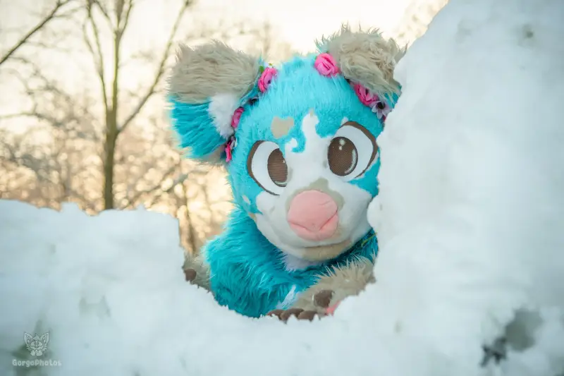 miilkysnowphotos-13-standard-pcsqsu.webp