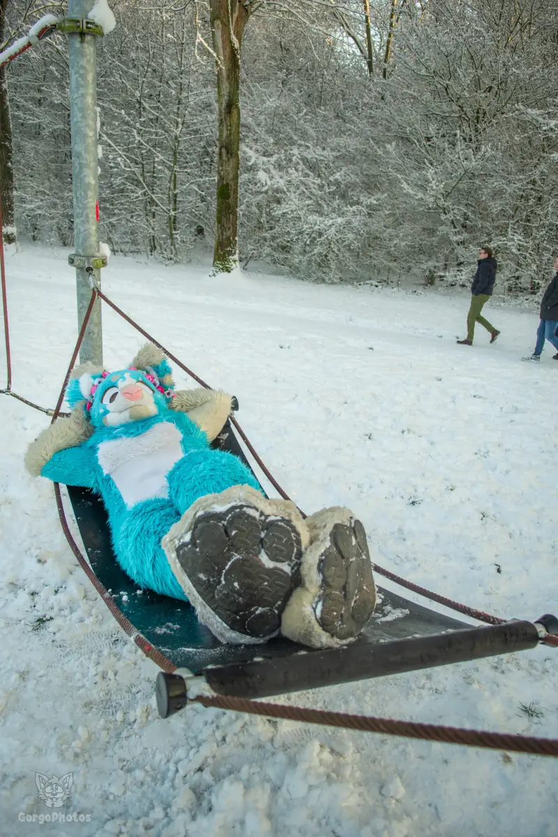 miilkysnowphotos-18-standard-kwq676.webp