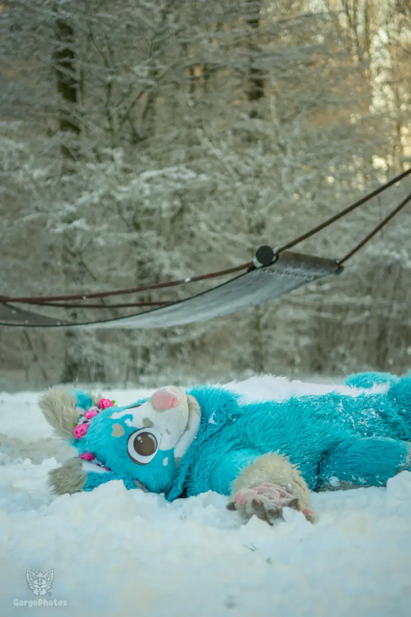 miilkysnowphotos-22-standard-p0v269.webp