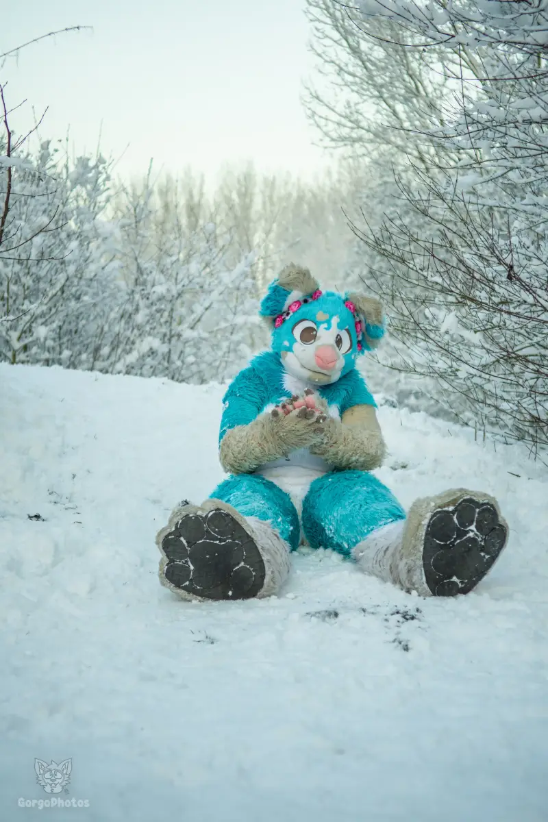 miilkysnowphotos-26-standard-bxfhfu.webp
