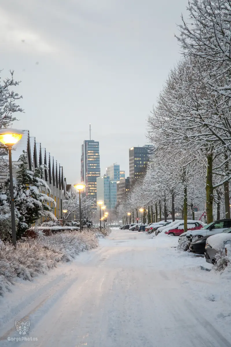 miilkysnowphotos-39-standard-7srxdz.webp
