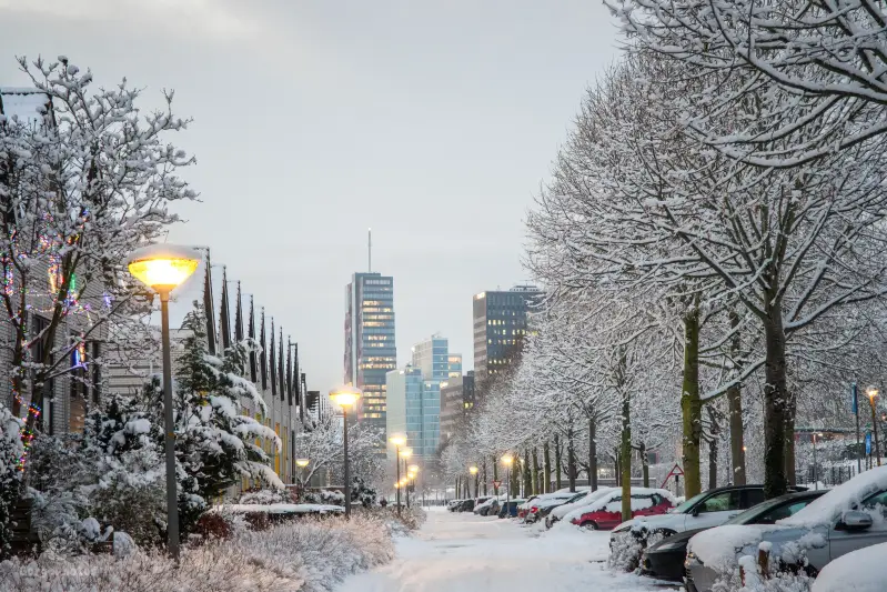 miilkysnowphotos-40-standard-42f44b.webp