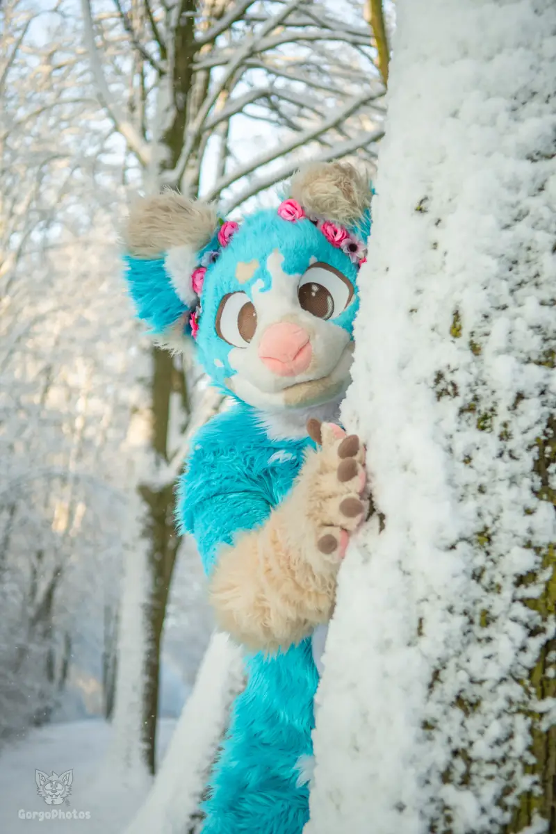 miilkysnowphotos-9-standard-7j0mv8.webp