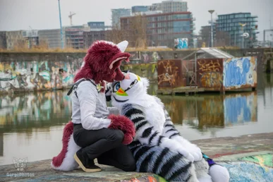 ndsm_photography_day2-126-standard.webp