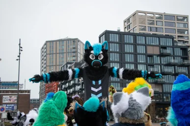 ndsm_photography_day2-145-standard.webp