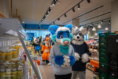ndsm_photography_day2-149-standard.webp