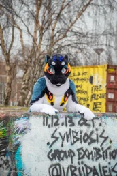 ndsm_photography_day2-200-standard.webp