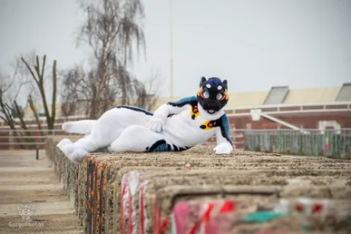 ndsm_photography_day2-201-standard.webp