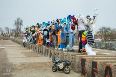 ndsm_photography_day2-50-standard-nna0n8.webp