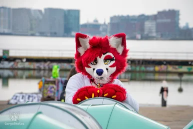 ndsm_photography_day2-95-standard-xkhc0z.webp