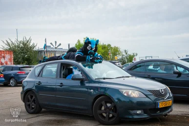 ndsm_photographyday-123-standard.webp