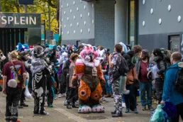 ofaf_sa_furwalk-101-standard.webp