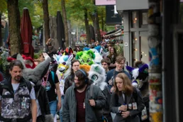 ofaf_sa_furwalk-11-standard-o284c8.webp