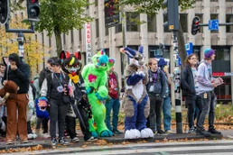ofaf_sa_furwalk-15-standard-4ss0gq.webp