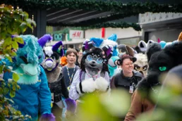ofaf_sa_furwalk-20-standard-zrpylx.webp