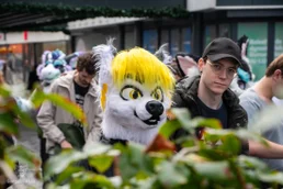 ofaf_sa_furwalk-22-standard-p6w6d3.webp