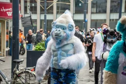 ofaf_sa_furwalk-25-standard-xux7kc.webp