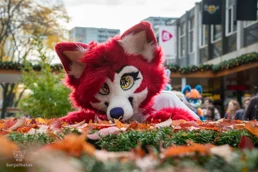 ofaf_sa_furwalk-33-standard-d0cctg.webp