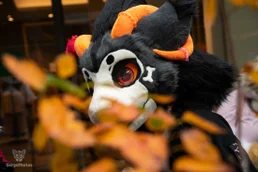 ofaf_sa_furwalk-38-standard-6qcl9j.webp