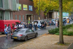ofaf_sa_furwalk-4-standard-7083x7.webp