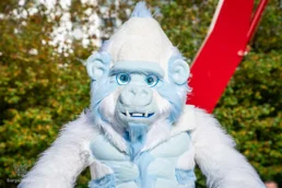 ofaf_sa_furwalk-57-standard-0xxb2a.webp