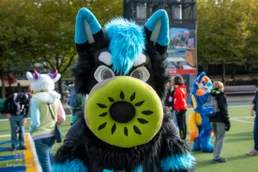 ofaf_sa_furwalk-60-standard-01sggj.webp