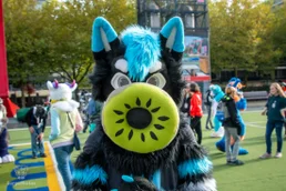 ofaf_sa_furwalk-61-standard-tbse3f.webp