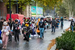 ofaf_sa_furwalk-7-standard-hh4r71.webp