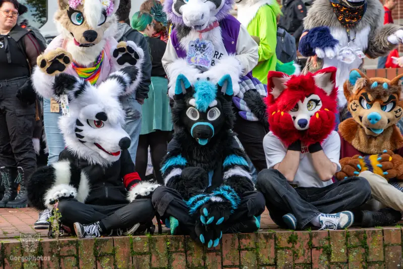 ofaf_sa_furwalk-81-standard-r7bi7d.webp