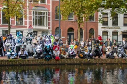 ofaf_sa_furwalk-82-standard-hge7hi.webp