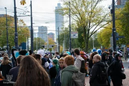 ofaf_sa_furwalk-89-standard-h42jh3.webp