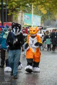 ofaf_sa_furwalk-9-standard-h0lqlk.webp