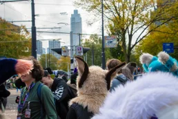 ofaf_sa_furwalk-90-standard-5cizfc.webp