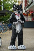 ofaf_sa_furwalk-94-standard-9yy00r.webp
