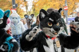 ofaf_sa_furwalk-95-standard-8aoi41.webp