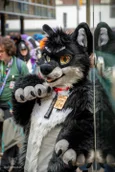 ofaf_sa_furwalk-96-standard-jmwa32.webp