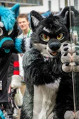 ofaf_sa_furwalk-97-standard.webp