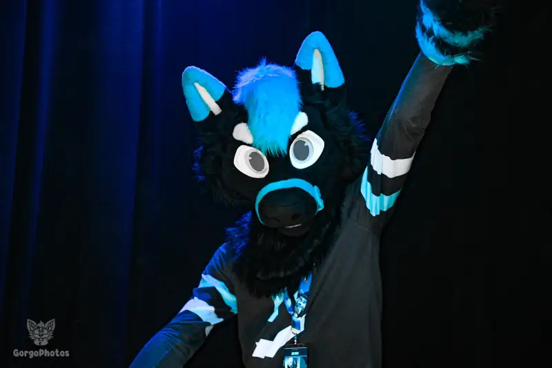 otterdance5_2024-101-standard.webp
