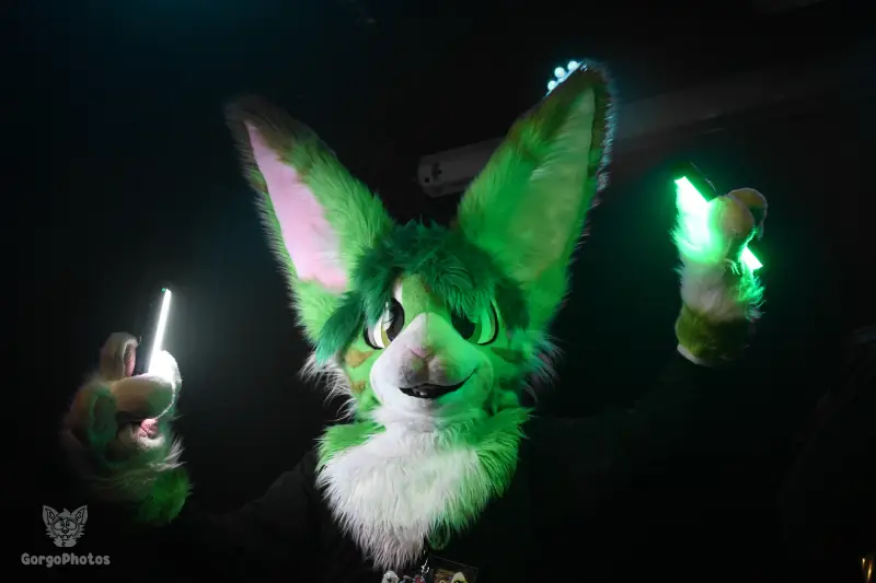 otterdance5_2024-106-standard.webp
