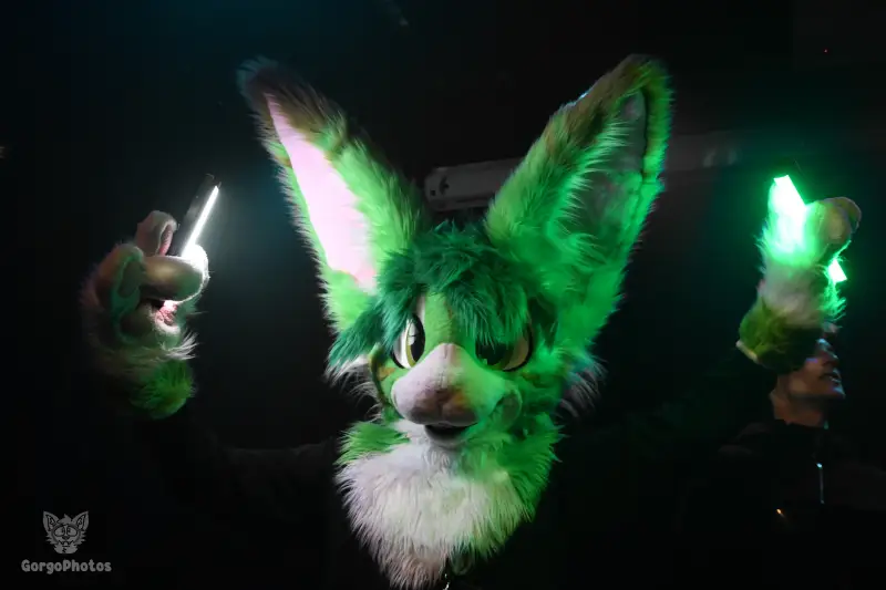 otterdance5_2024-107-standard.webp