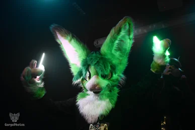 otterdance5_2024-108-standard.webp