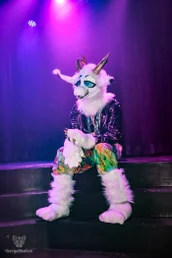 otterdance5_2024-115-standard.webp