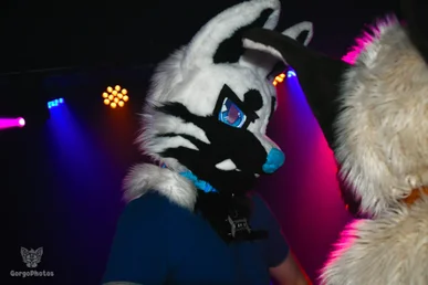 otterdance5_2024-128-standard.webp